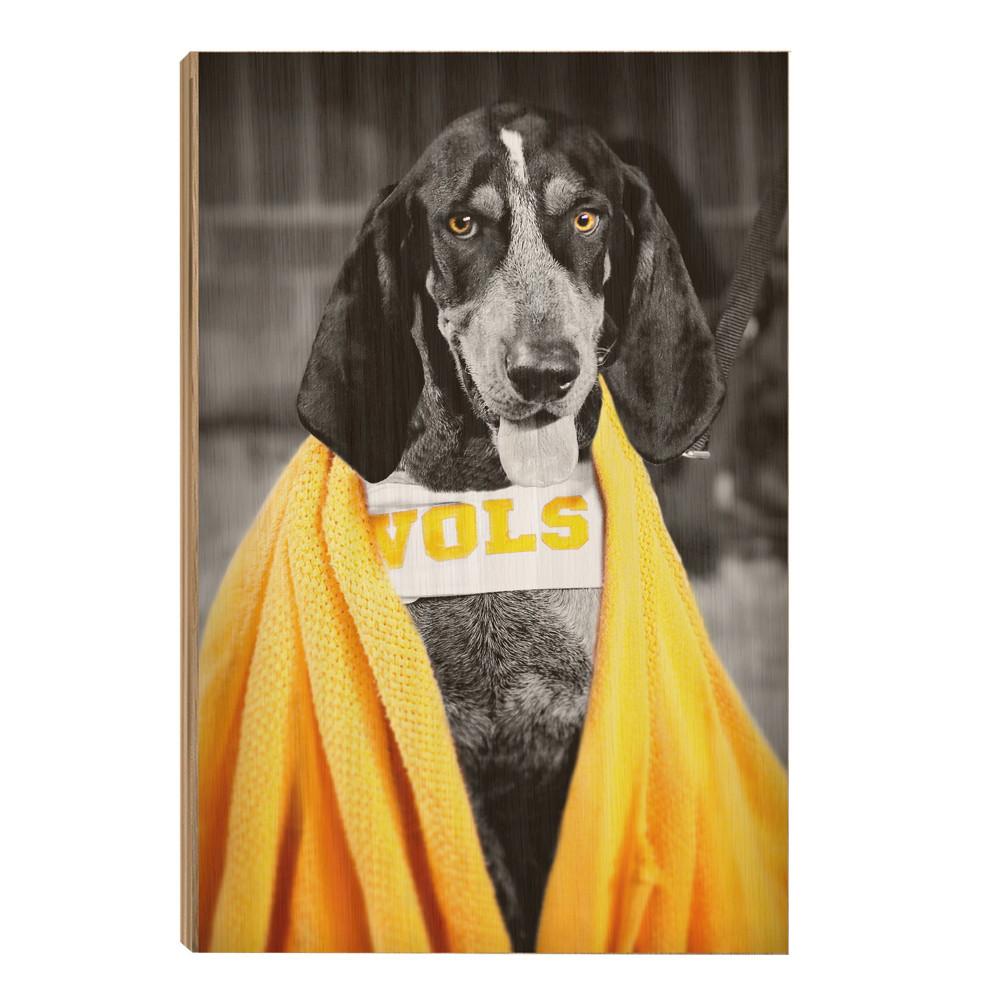 Tennessee Volunteers - Jedi Smokey - College Wall Art #Canvas
