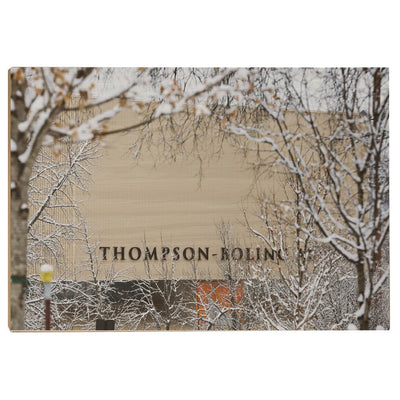 Tennessee Volunteers - Snowy Thompson-Boling - College Wall Art #Wood
