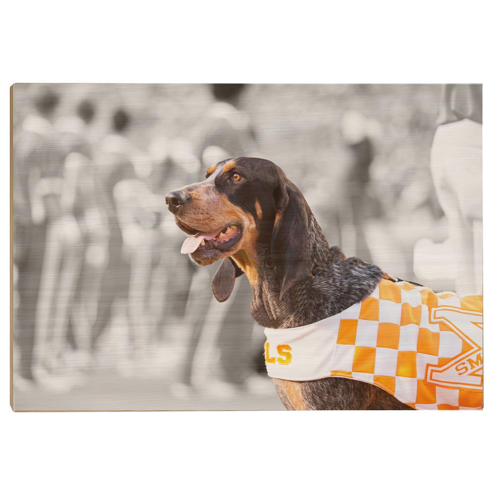 Tennessee Volunteers - Smokey X - College Wall Art #Canvas