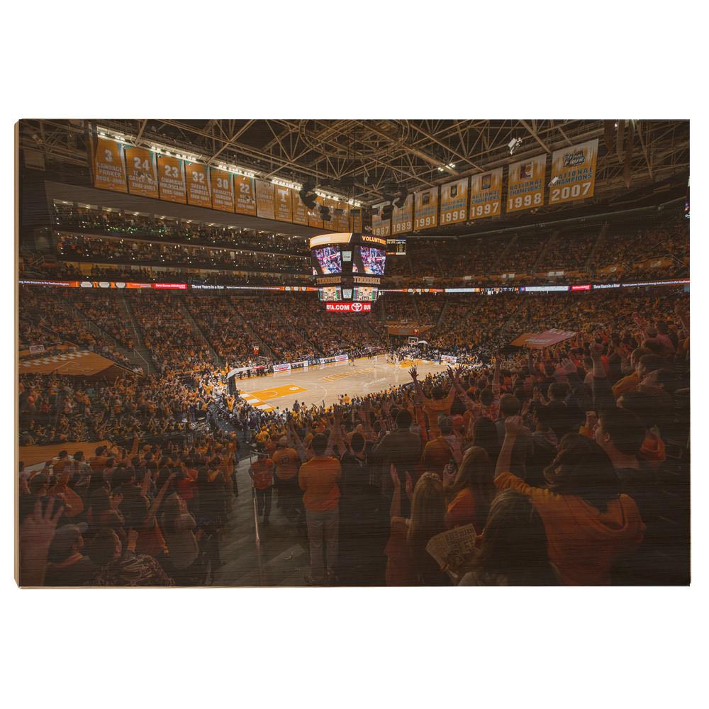 Tennessee Volunteers - Thompson-Boling B Ball - College Wall Art #Canvas