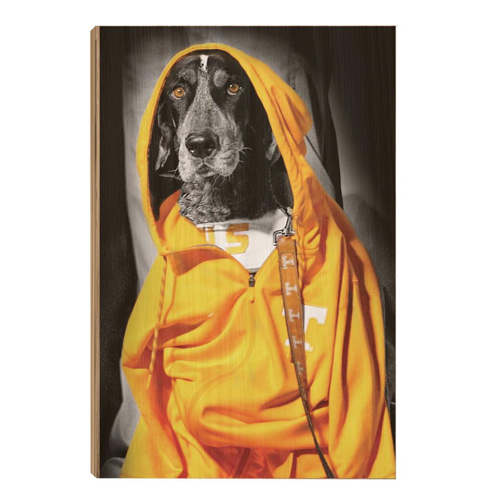 Tennessee Volunteers - Smokey Hood - College Wall Art #Canvas