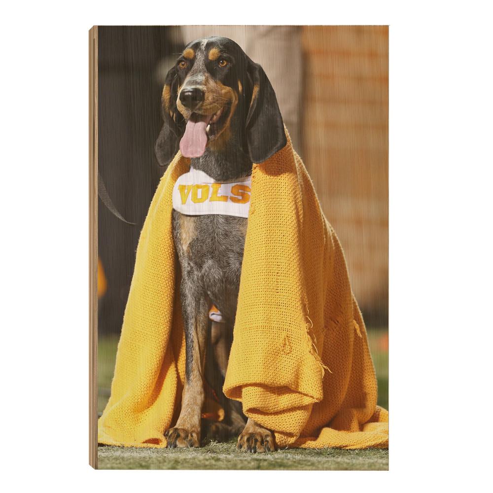 Tennessee Volunteers - Smokey's Blanket - College Wall Art #Canvas