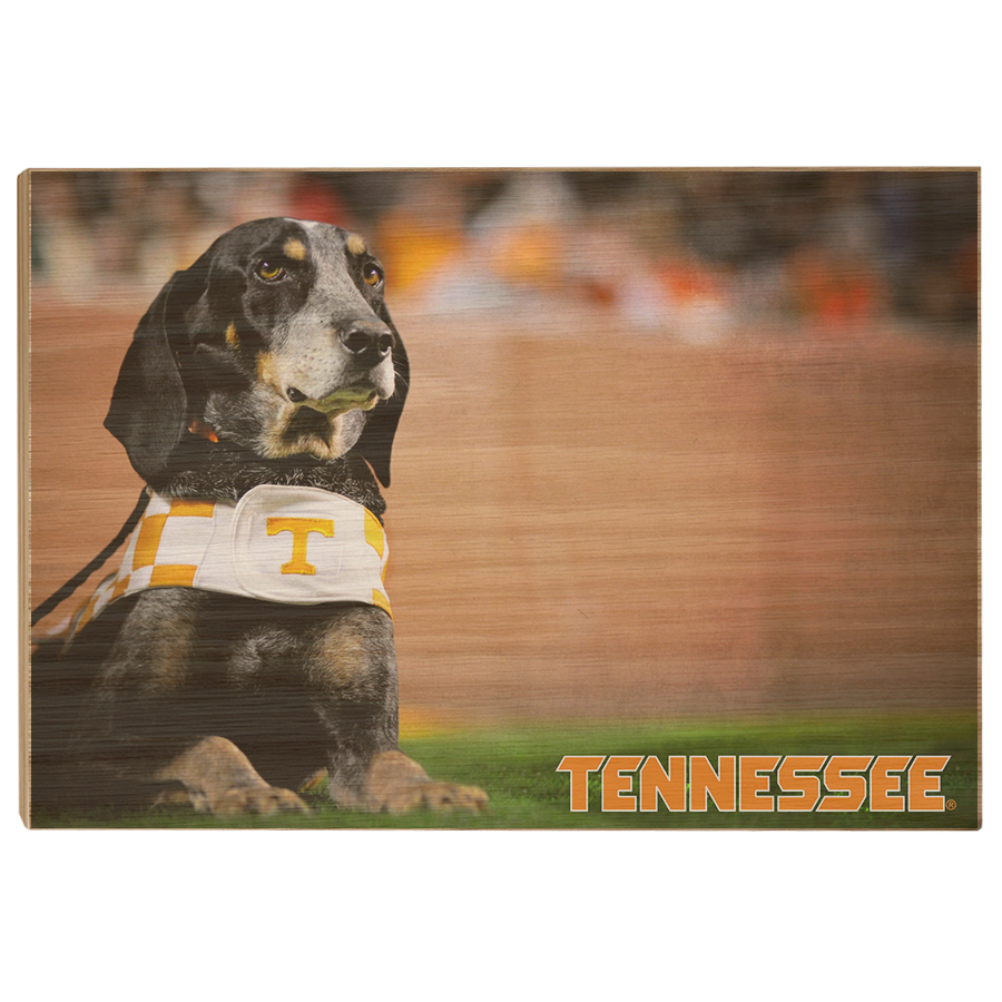 Tennessee Volunteers - Smokey - College Wall Art #Canvas