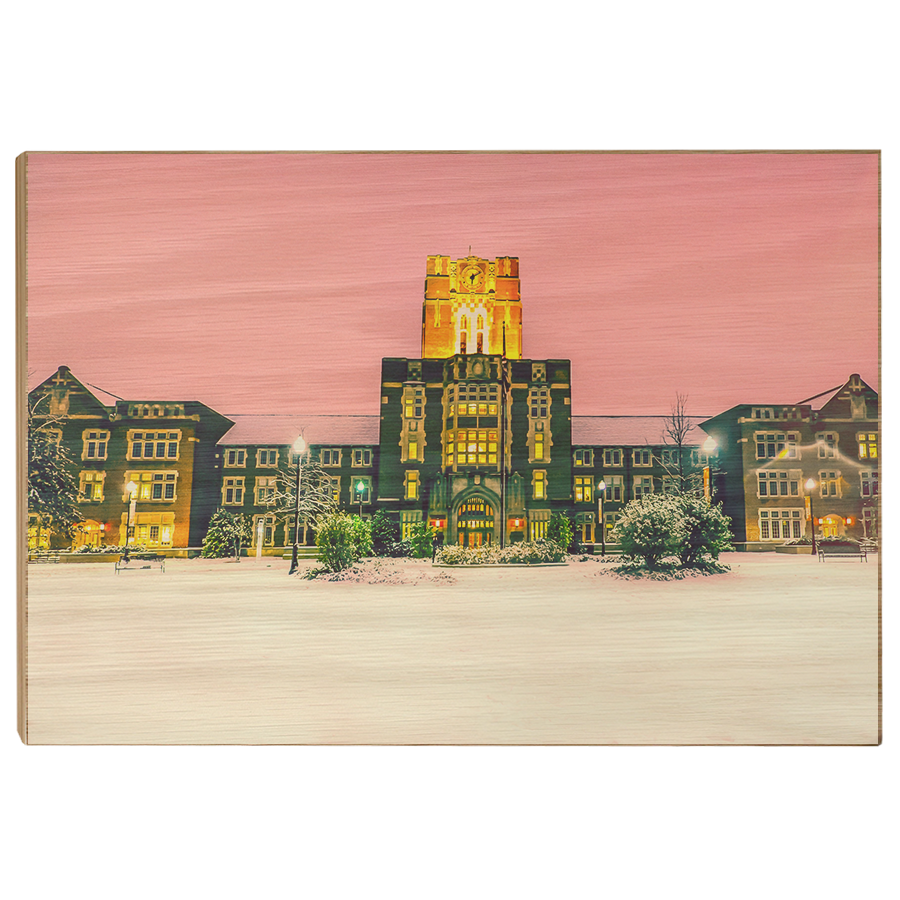 Tennessee Volunteers - Snowy Ayres - College Wall Art #Canvas