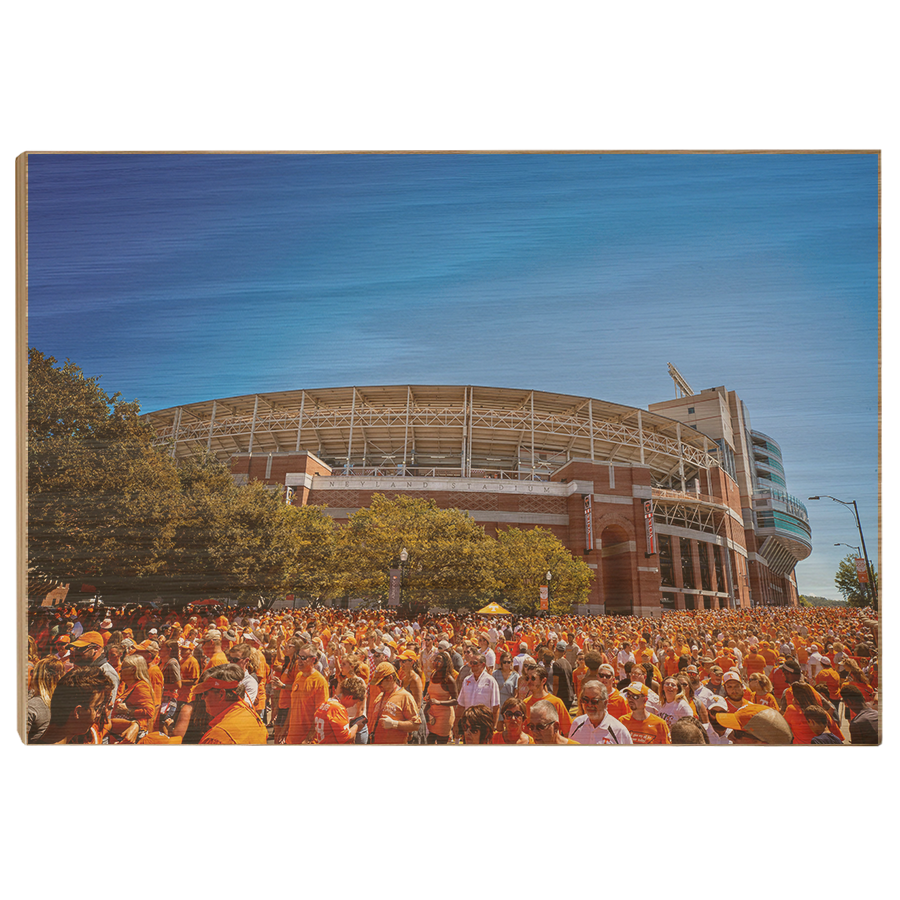 Tennessee Volunteers - Orange Swarm - College Wall Art #Canvas