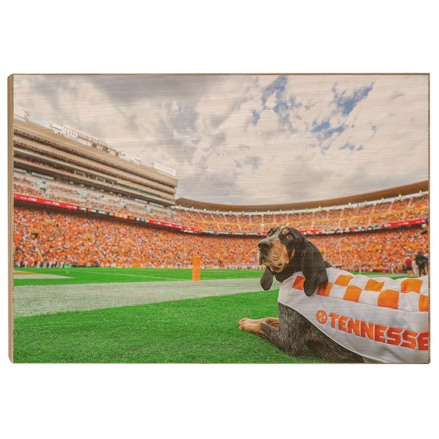 Tennessee Volunteers - Smokey's Tennessee #Canvas