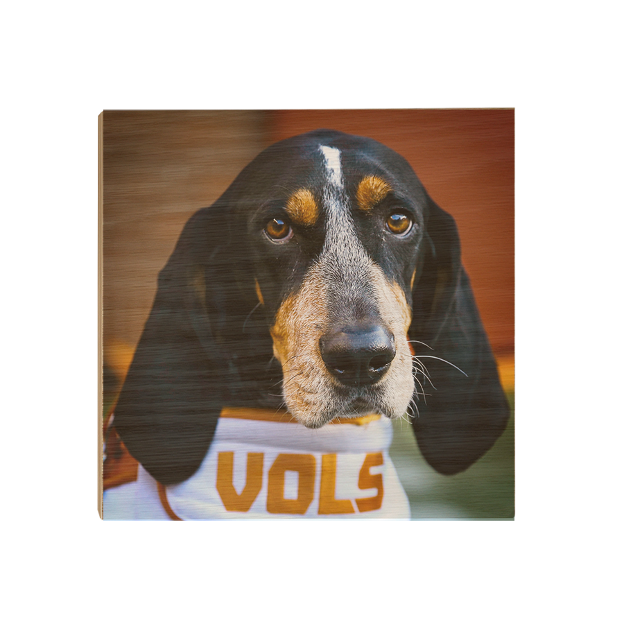 Tennessee Volunteers - TN Smokey Vols - College Wall Art #Canvas