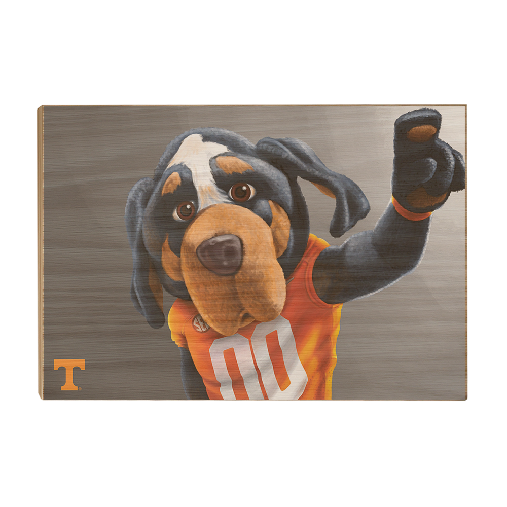 Tennessee Volunteers - Smokey - College Wall Art #Canvas