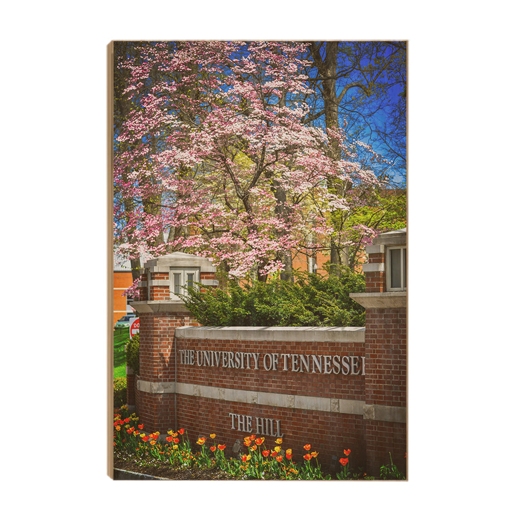 Tennessee Volunteers - Spring on the Hill - College Wall Art #Canvas