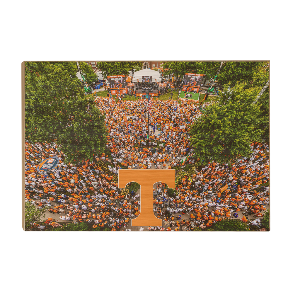 Tennessee Volunteers - Game Day Aerial - College Wall Art #Canvas