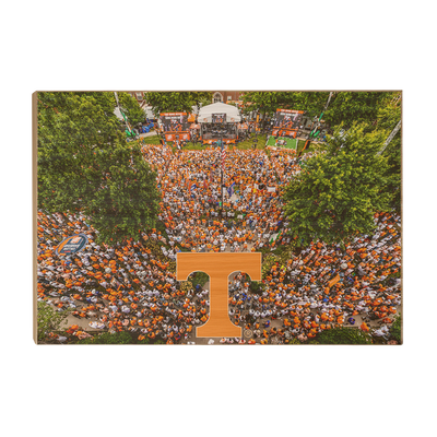 Tennessee Volunteers - Game Day Aerial - College Wall Art #Wood