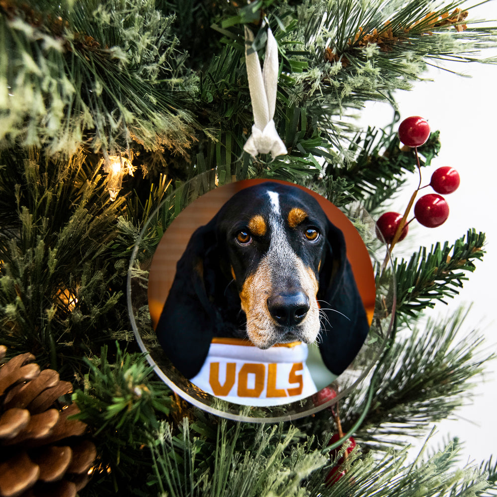 Tennessee Volunteers - Smokey Vols #Bag Tag