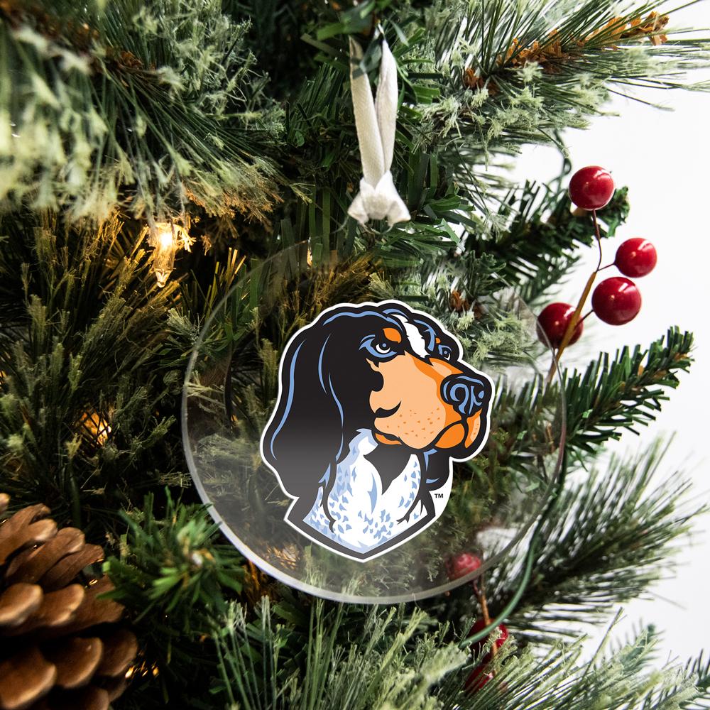 Tennessee Volunteers - Smokey's Head Bag Tag & Ornament