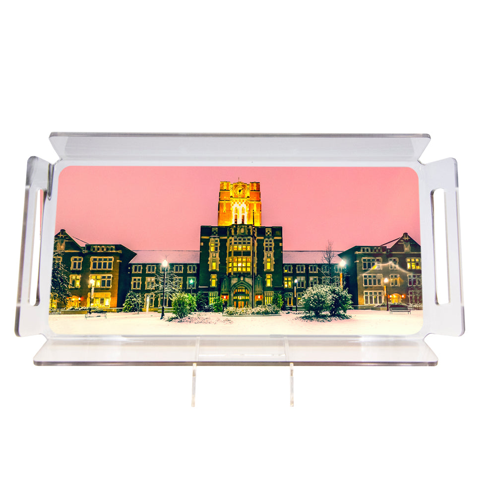 Tennessee Volunteers - Snowy Ayres #Tray